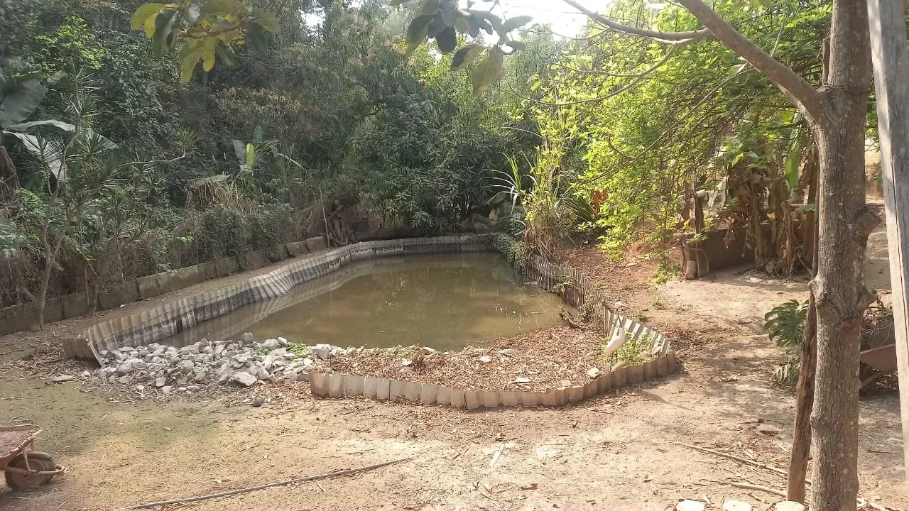 Foto do imóvel: Sítio à Venda, 1.080 m² em Parque Ipiranga - Betim