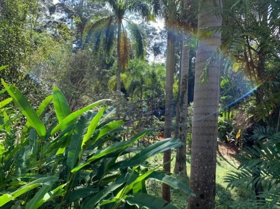 Imagem vendo casa granja