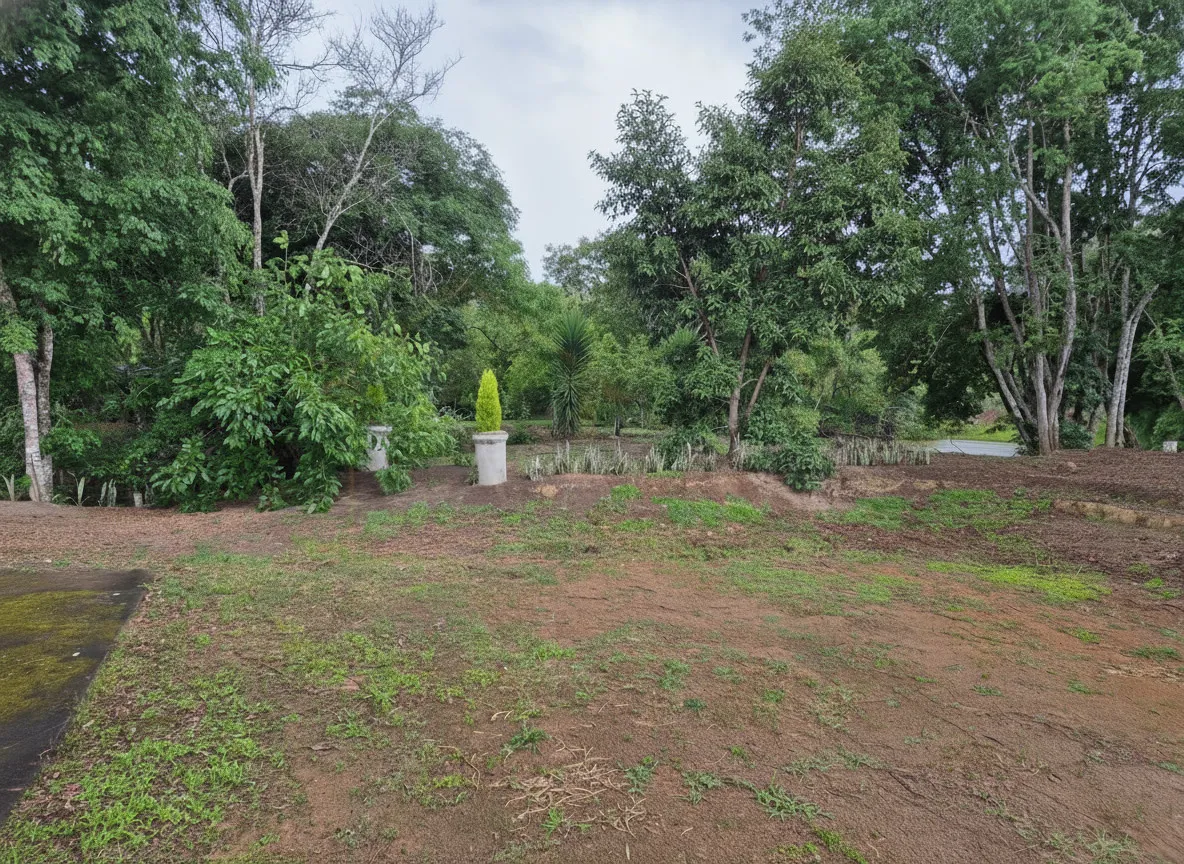 Imagem Chácara 24 m² à venda em Capituvas, Bandeira do Sul
