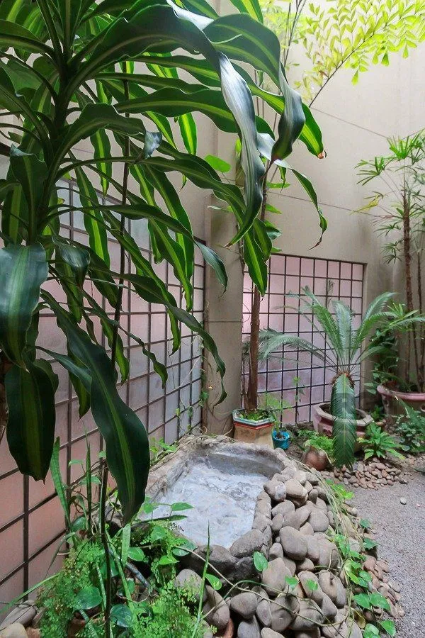 Imagem Apartamento em Santa Tereza