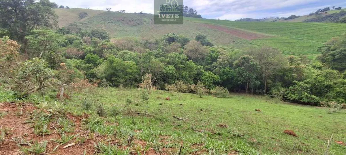 Imagem Ampla Área à Venda no Bairro da Lagoa - Socorro/SP