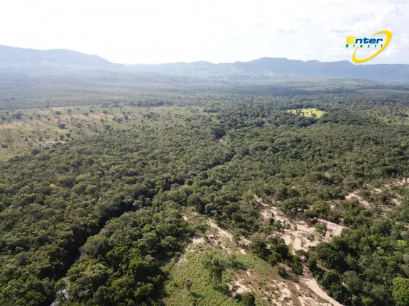 Imagem Fazenda à Venda, 681.000 m² em rural - São João D'Aliança