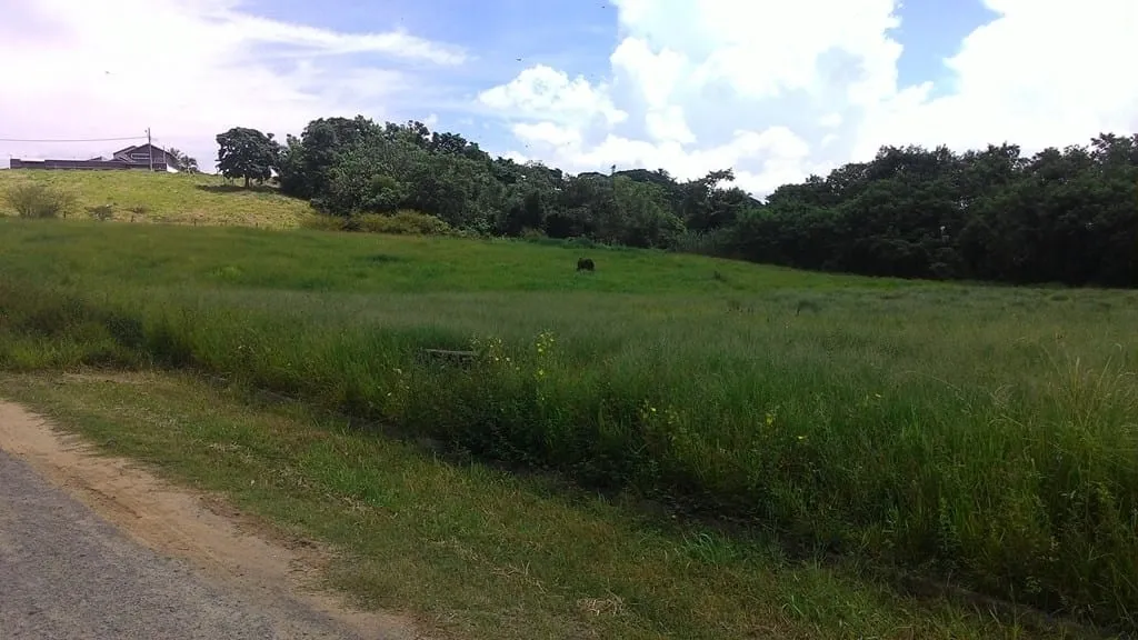 Foto do imóvel Terreno à venda 296M², Parque São Domingos, Pindamonhangaba - SP