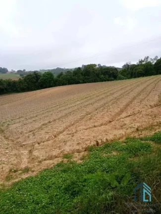 Foto do imóvel Área para plantio, bem localizada, asfalto na frente próximo a tudo em São José dos Pinhais PR