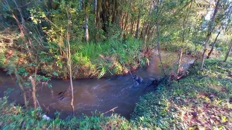 Imagem Chácara para Venda em Tijucas do Sul, Ambrósio