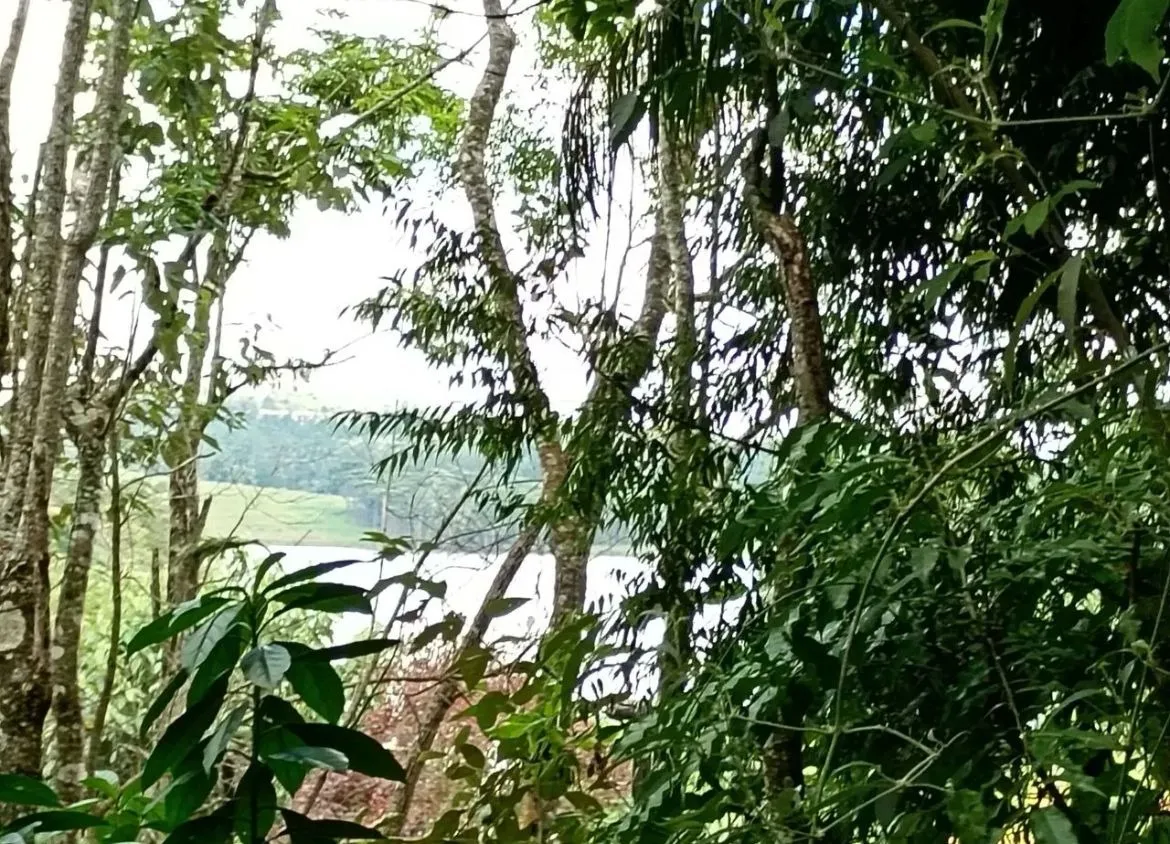 Imagem Chácara Pilar do Sul