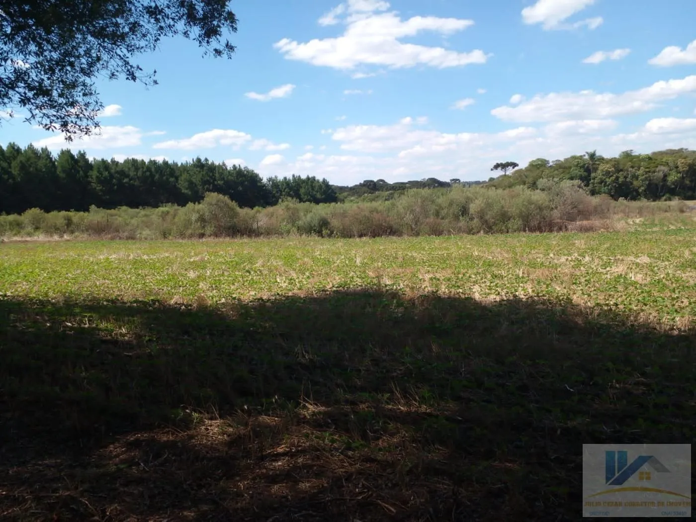 Imagem Terreno para Venda em São José dos Pinhais, Campo Largo da Roseira