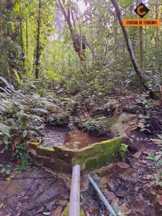 Imagem FAZENDA EM MATA DE SÃO JOÃO