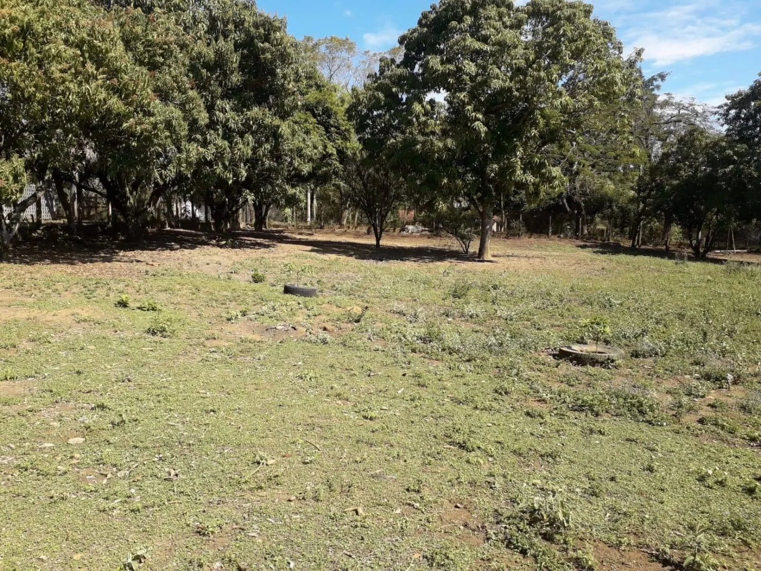 Imagem Terreno à venda Goiabal, Pindamonhangaba - SP