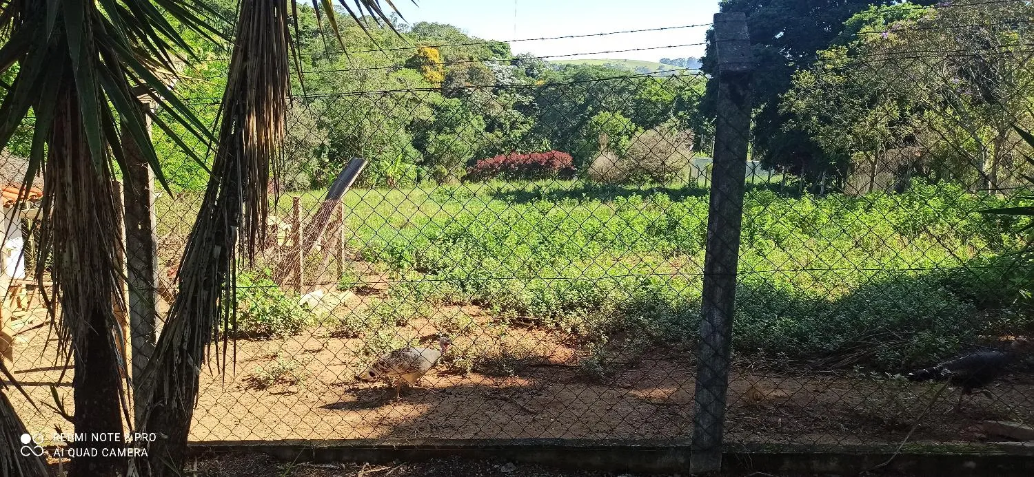Imagem LOTE - PARQUE NOVA XAMPIRRA