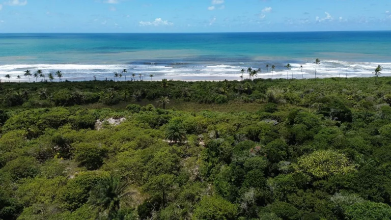 Imagem FAZENDA BEIRA MAR E MATA ATLANTICA