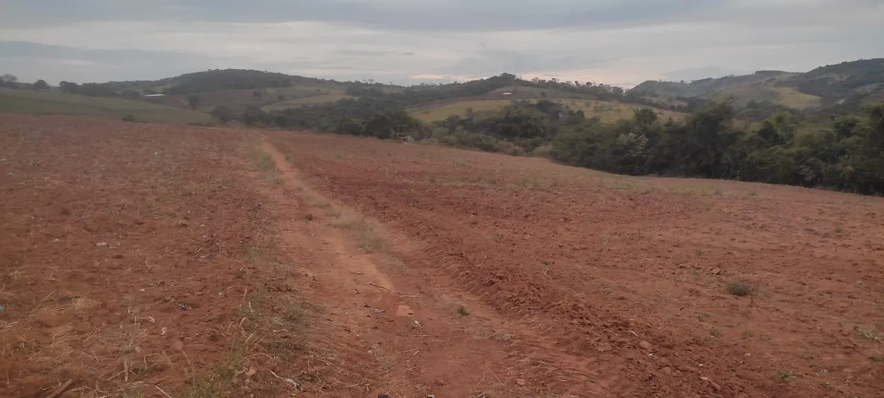 Imagem FAZENDA À VENDA - CRUCILÂNDIA (MG) 120 hectares de área total