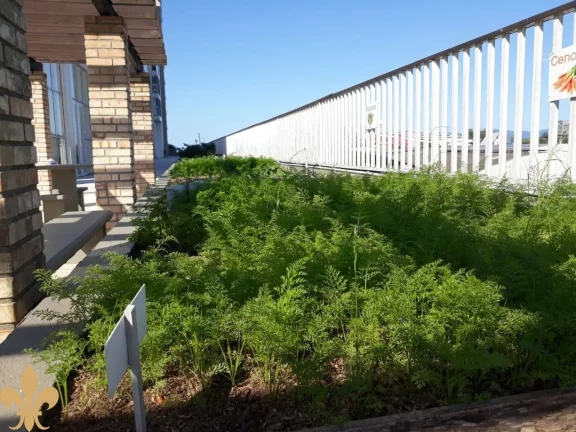 Imagem APARTAMENTO RESIDENCIAL em SÃO JOSÉ - SC, SERRARIA