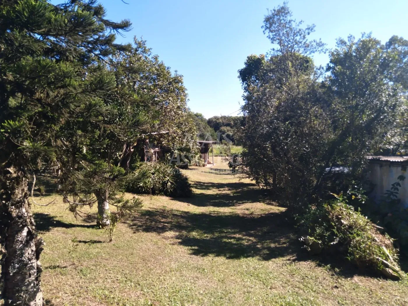 Imagem Excelente Sítio à venda em Viamão/RS - 17,9 hectares