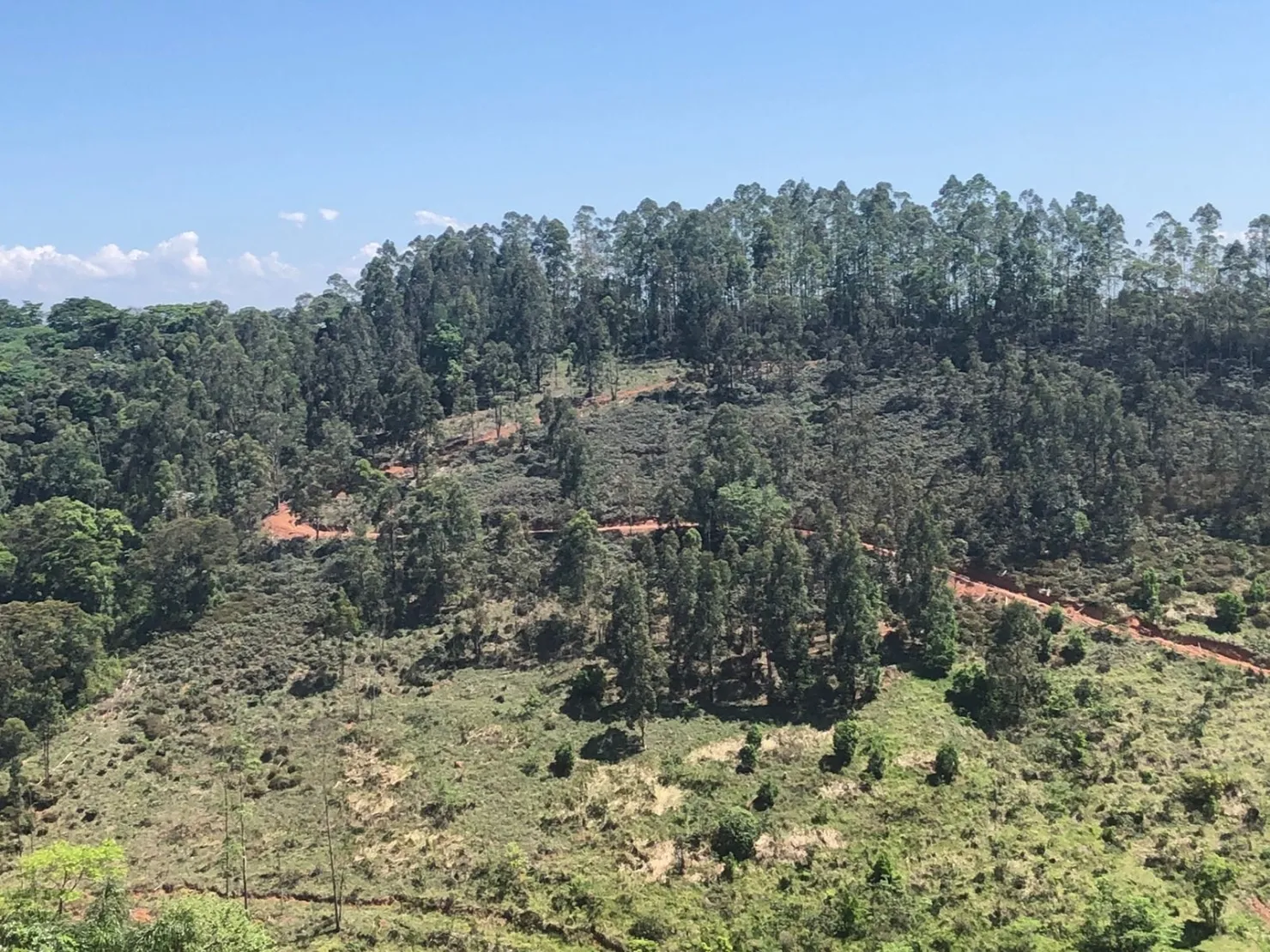 Imagem Sítio com 9 Alqueires em Ribeirão Grande com Abundância de Água