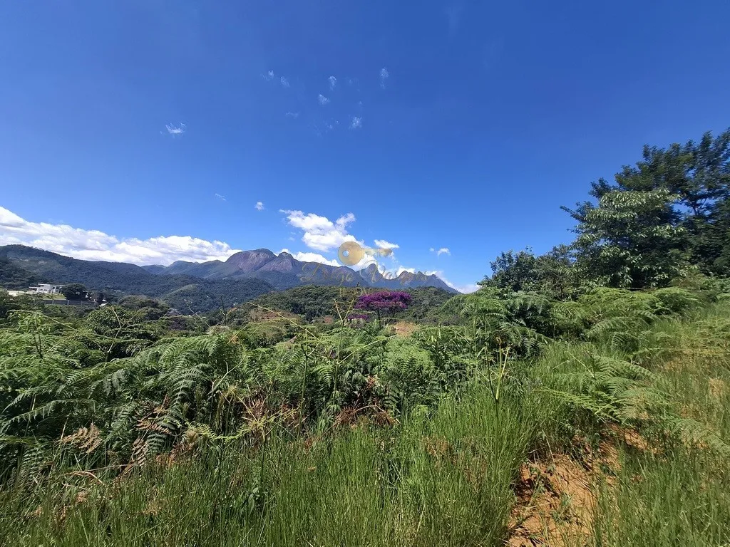 Imagem Terreno em Condomínio para Venda em Teresópolis / RJ no bairro Green Valley