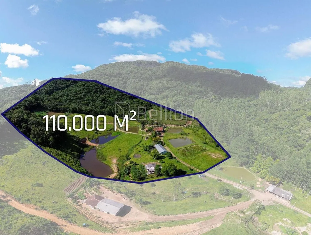 Imagem Sítio completo com lagoas, ribeirão e nascente em Rio dos Cedros