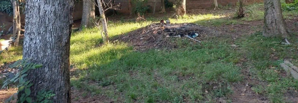 Imagem Terreno em Menino Deus