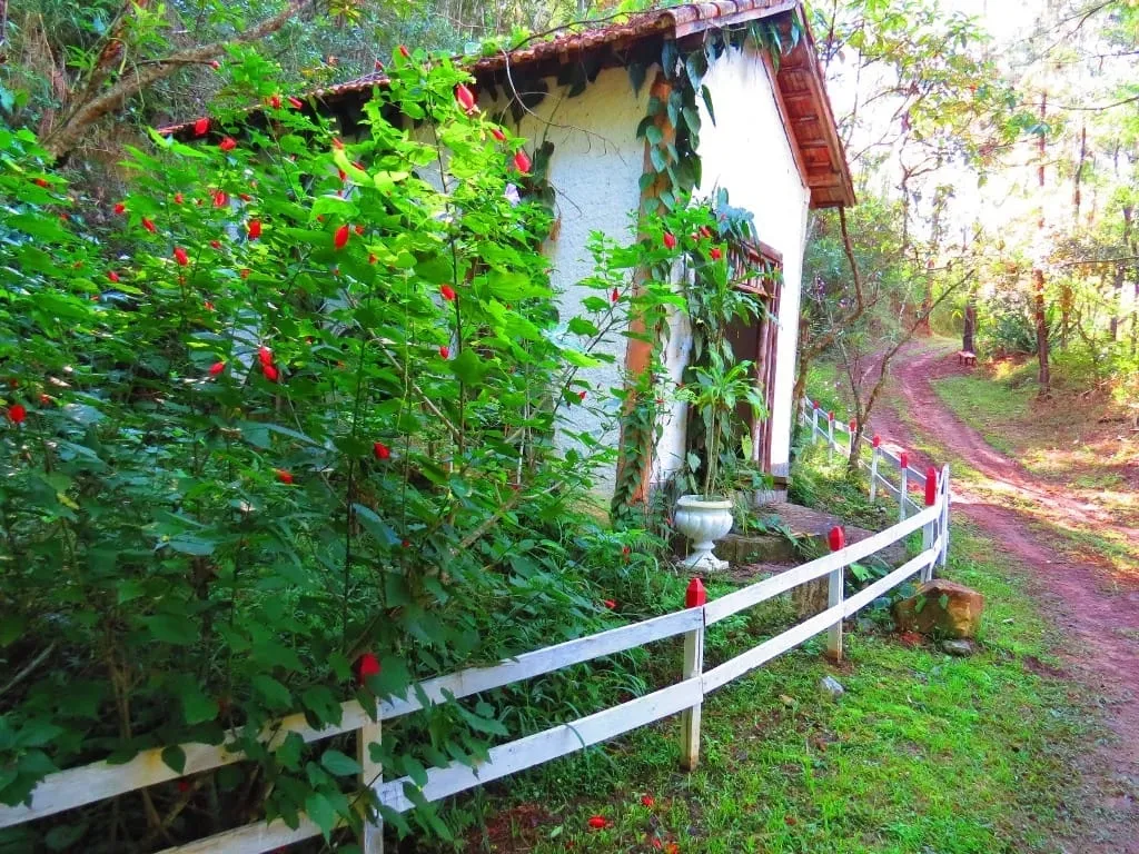 Imagem Chácara à venda 145200M², Paiol, Guaratinguetá - SP