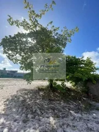 Imagem Vendo Casa em Condomínio Fechado, com 295 m², 4 suítes (1 master) + DCE e 4 vagas