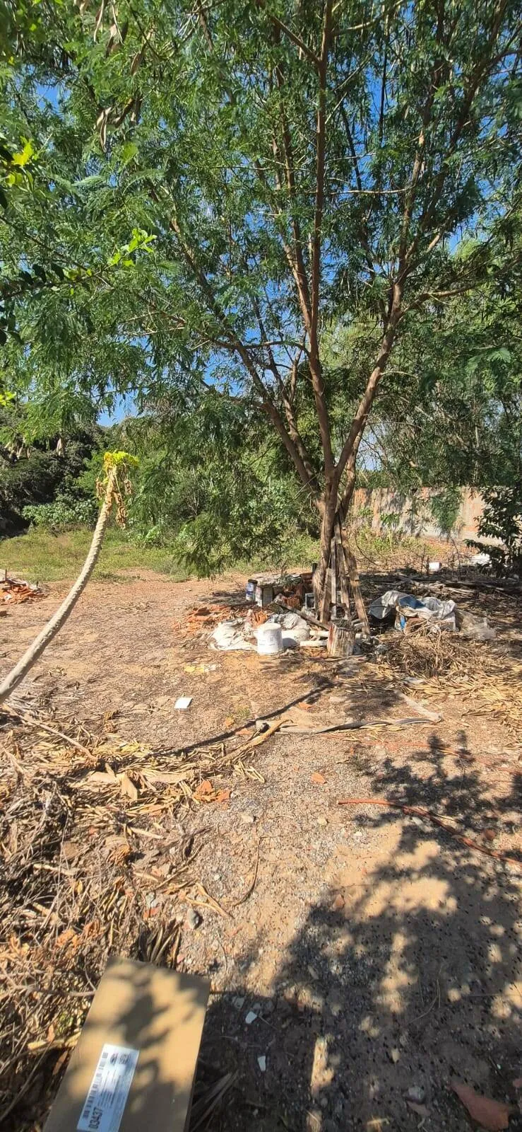 Imagem Excelente Terreno para Investimento no Boa Esperança