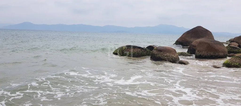 Imagem Terreno para Venda - Ponta das Canas - Florianópolis