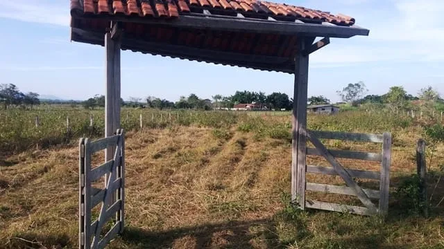 Imagem Chácara à venda 2000M², Cruz Pequena, Pindamonhangaba - SP
