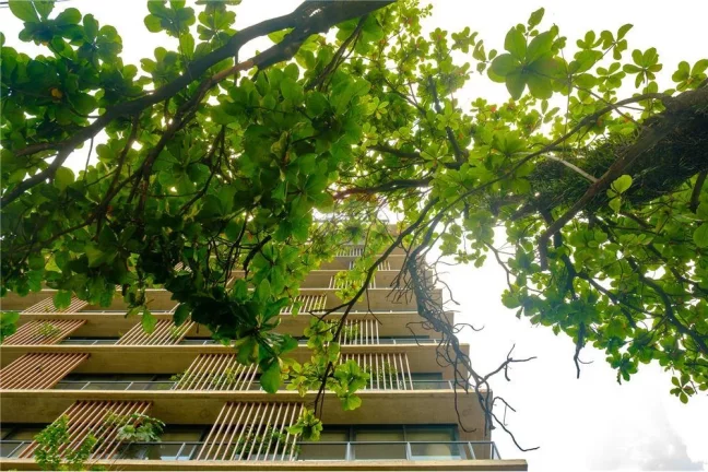 Imagem Laje de 525m² na Vila Madalena