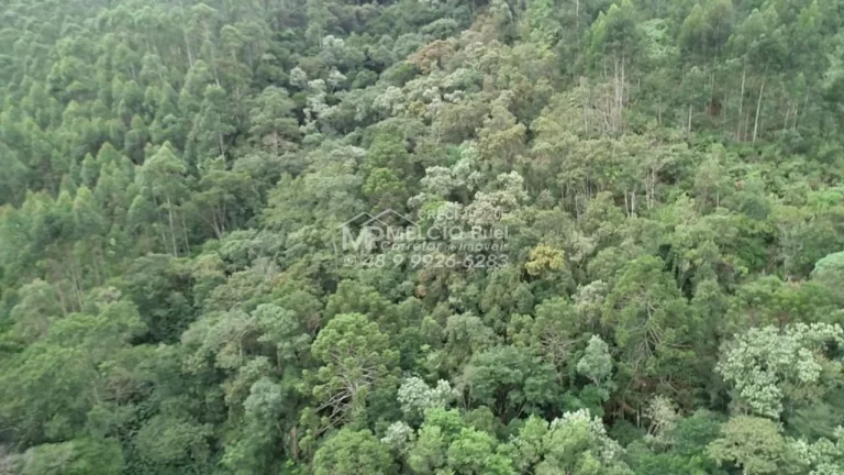 Imagem Ótimo sítio a venda em Pinheral SC. com 40.000m². Propriedade equipada para criação de animais.