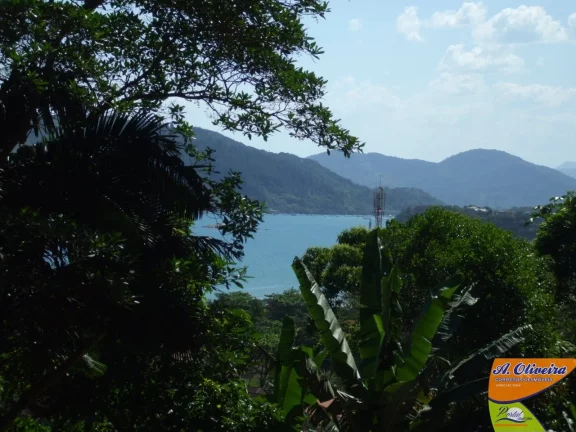Imagem Área Com Vista Panorâmica