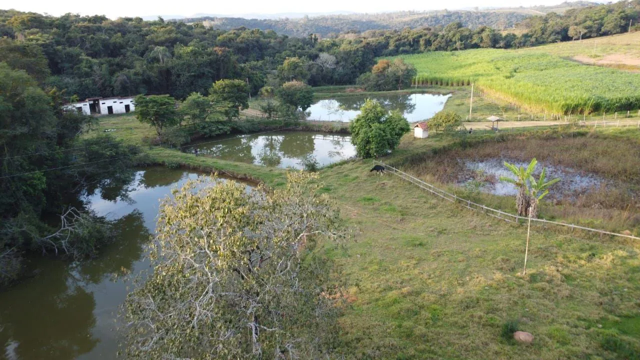 Imagem Fazendinha à Venda em Cláudio/MG 63 Hectares de Terra