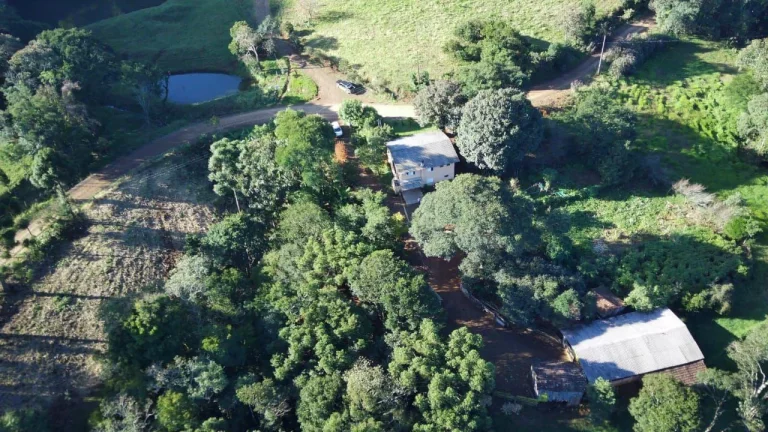 Imagem Área Agrícola para Venda em Lindóia do Sul, Linha Mimosa