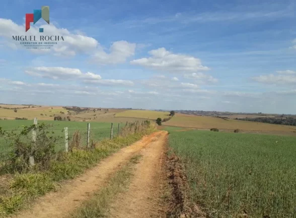 Imagem Fazenda Região de Tiête SP