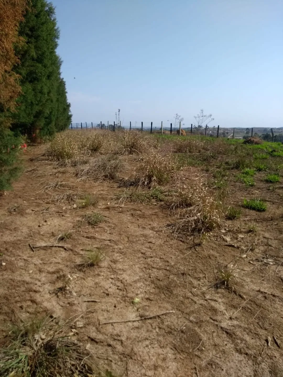 Imagem Chácara à venda 1500M², Residencial Pinheiros, Taubaté - SP