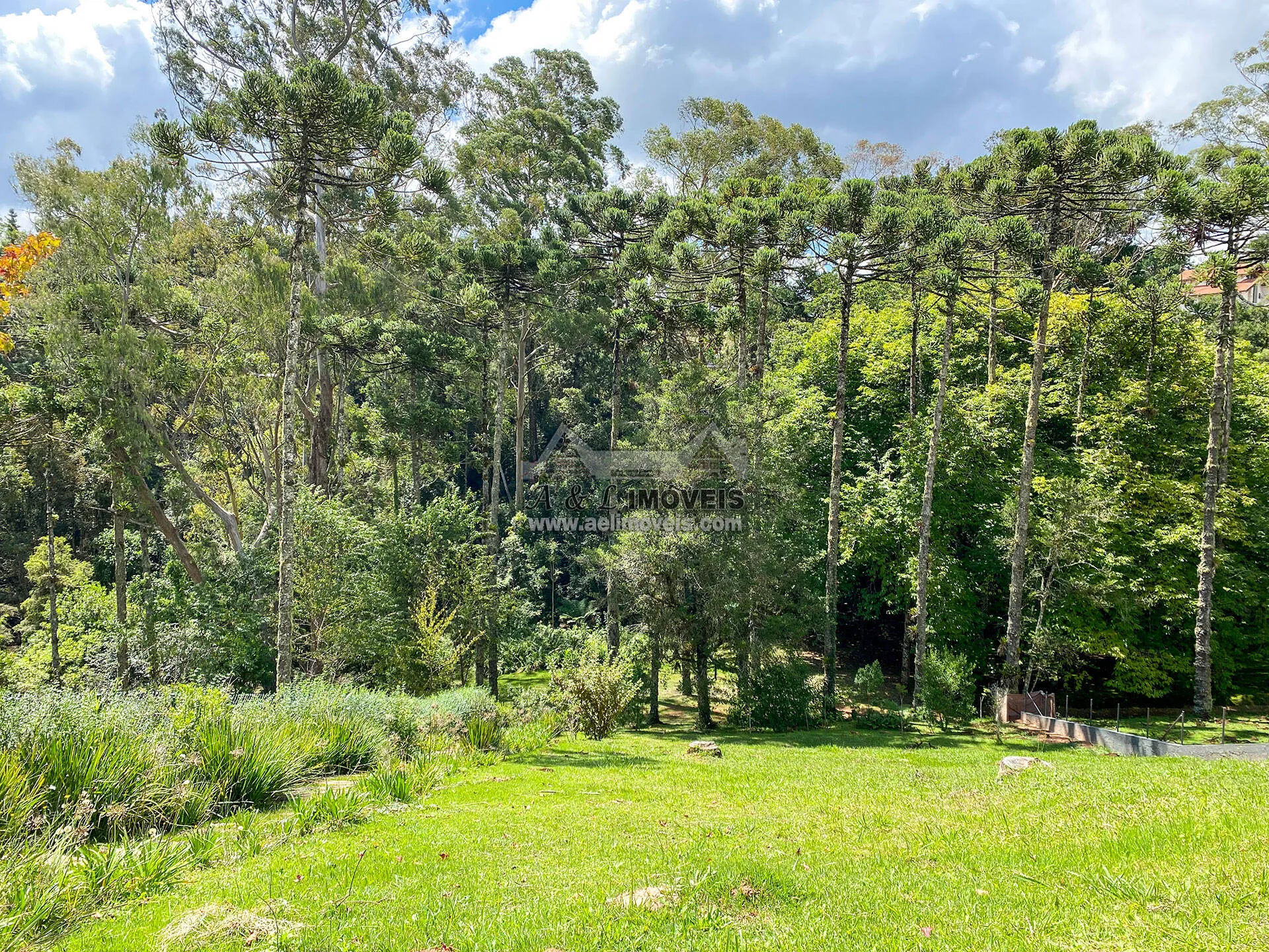 Imagem Terreno à venda em Campos do Jordão - Em loteamento de alto padrão