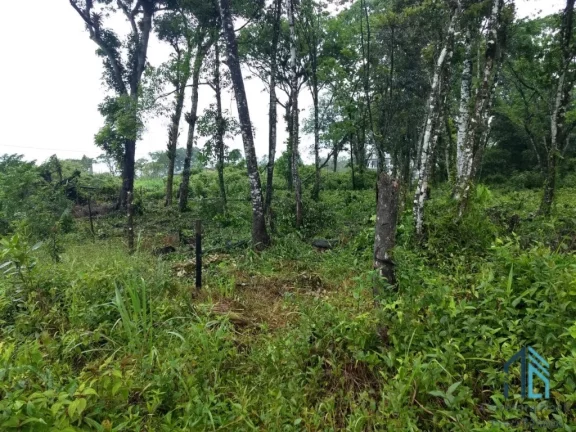 Imagem Terreno a venda 1.950m², ótima localização, ao lado de imóveis, alto padrão em Guaratuba PR