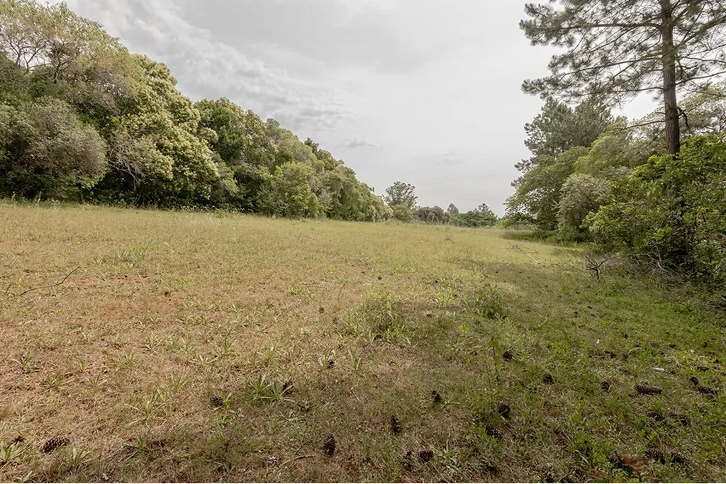 Imagem Terreno em Belém Velho