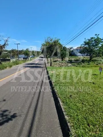 Imagem Ótimo terreno à venda no bairro Jardim Maristela em Criciúma/SC