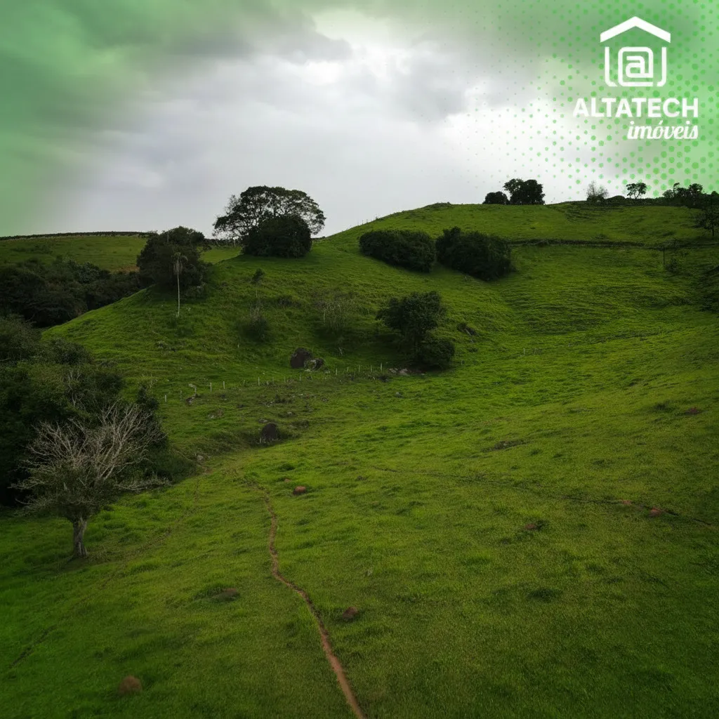 Imagem Sítio 15 m² à venda em Roseira, Bandeira do Sul