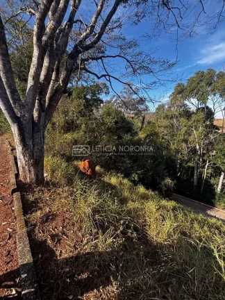 Imagem Terreno a Venda