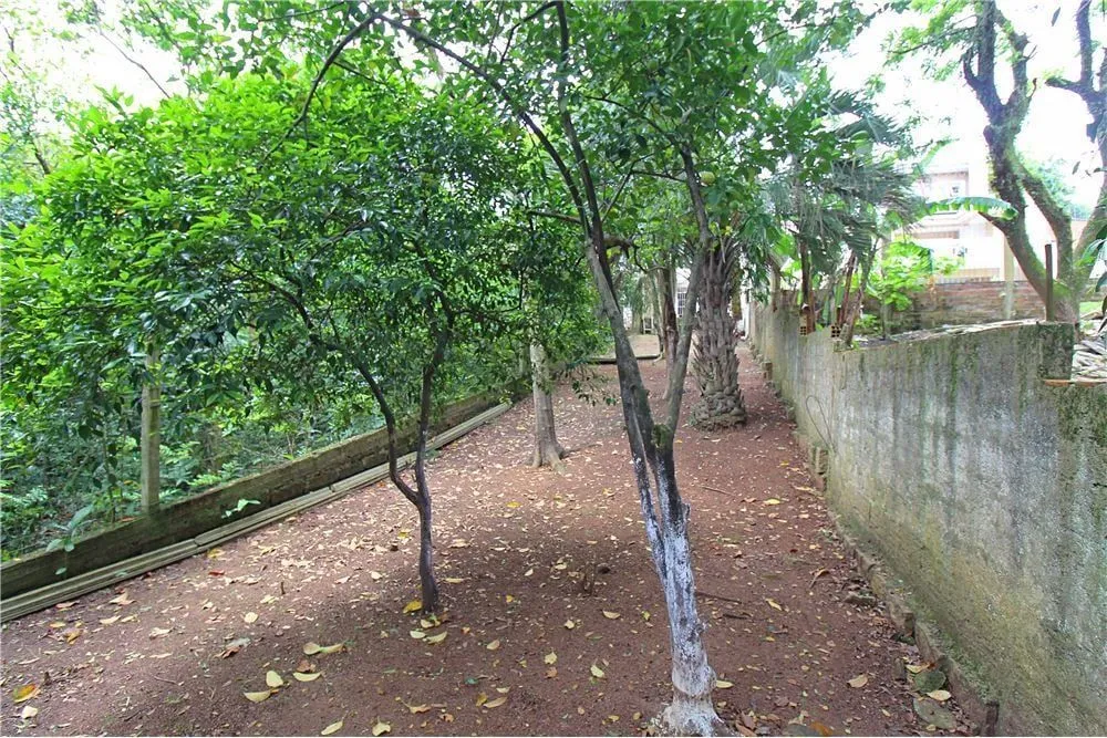 Imagem Casa em Medianeira