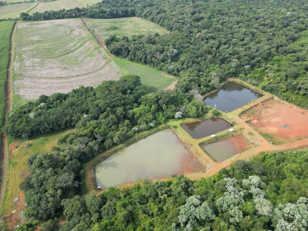 Imagem Chácara à venda em Cascavel, Centro - Casa de caseiro, Rio e Lago para pesca