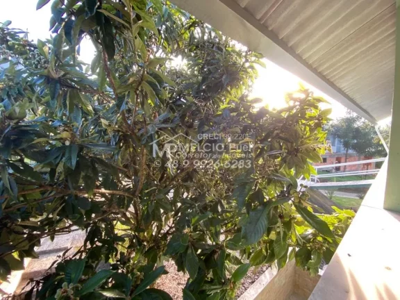 Imagem Sítio a venda em Nova Trento - Terra de Santa Paulina. Com área de 7.000m², muitas árvores ao redor. Plantas frutíferas,