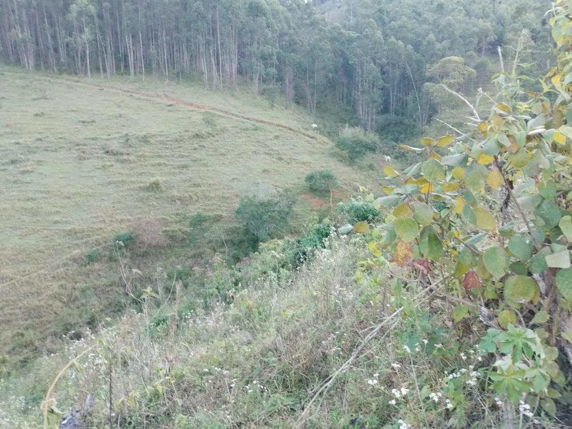Imagem 4 Alqueires à Venda em Piracaia ? Ótima Localização!