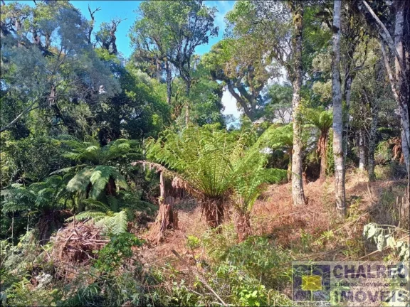 Imagem TERRENO RESIDENCIAL em Gramado - RS, Carniel