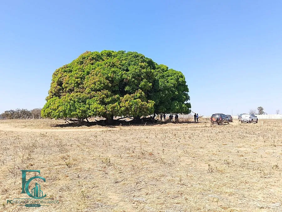 Imagem FAZENDA DAS FLORES - SEU CONDOMÍNIO DE CHÁCARAS!