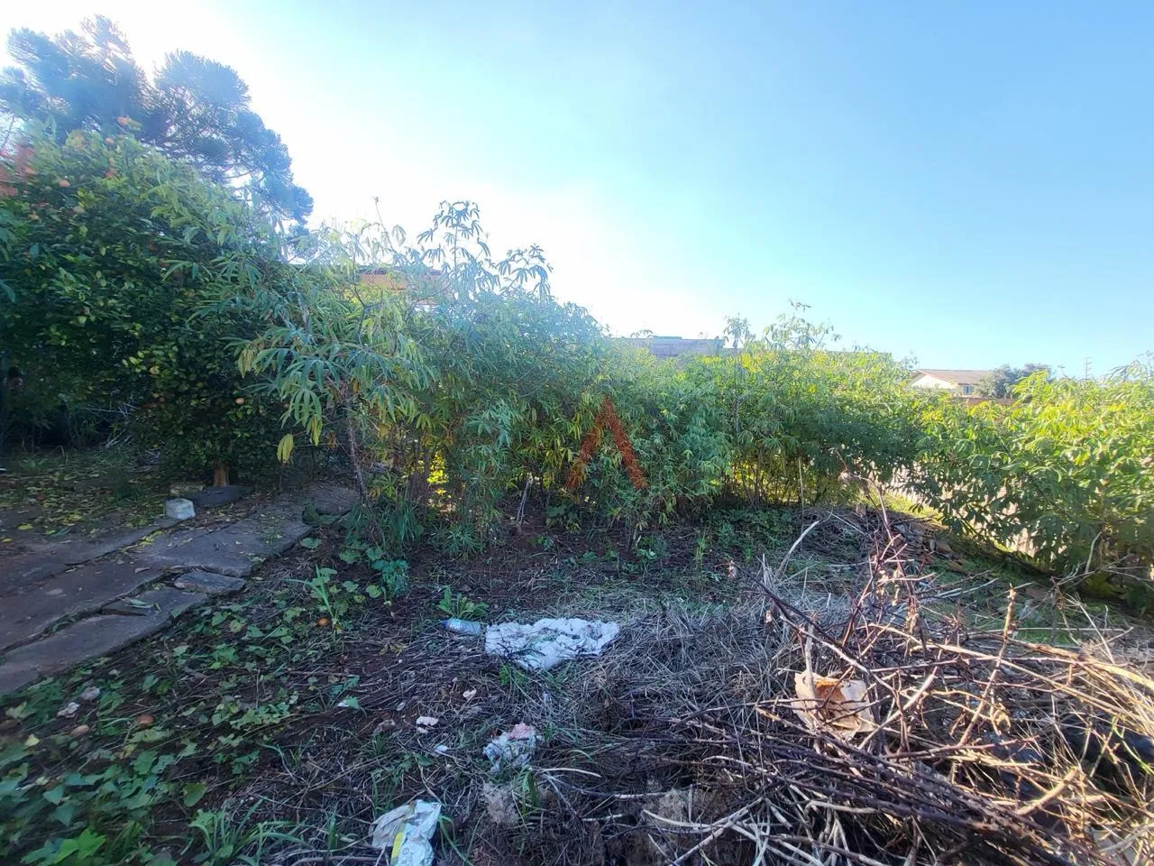 Imagem Casa com 3 dormitórios à venda, VILA CARLI, GUARAPUAVA - PR