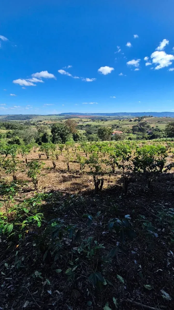 Sítio à Venda, 4 hectare em Monte Santo de Minas - Monte Santo de Minas