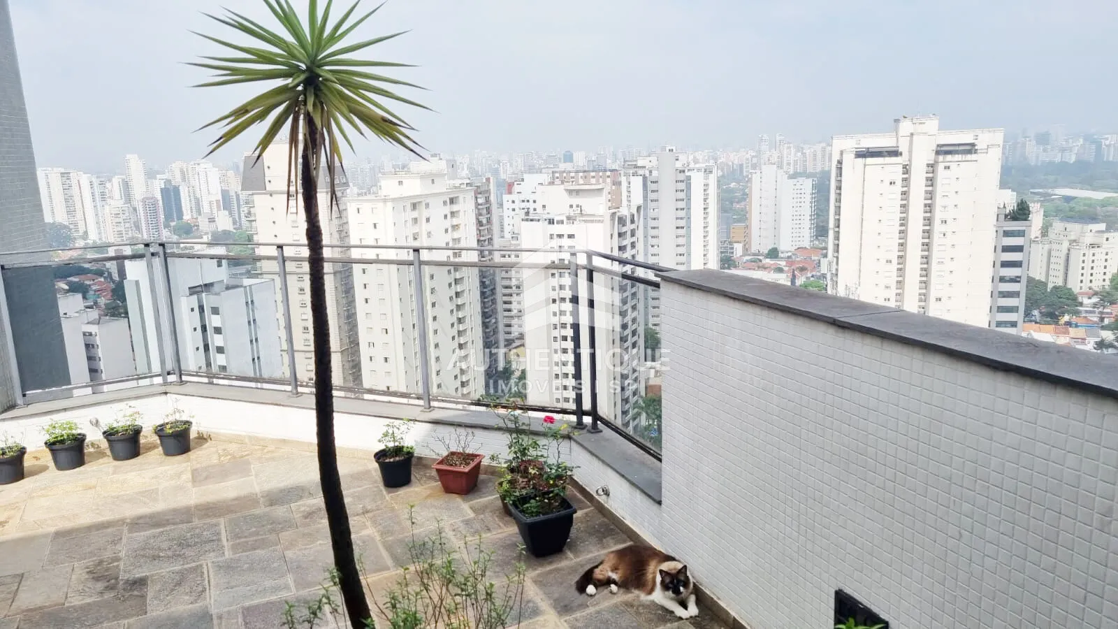 Imagem Marsala e Palermo Vila Mariana - Apartamento à venda no bairro Vila Mariana - São Paulo/SP, Zona Sul