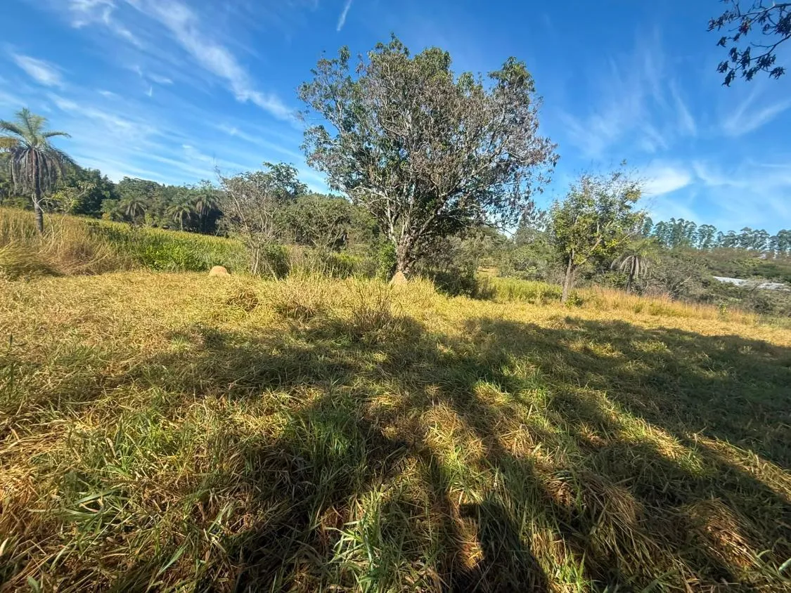Imagem FAZENDA À VENDA EM CARMÓPOLIS DE MINAS /Área total: 315 hectares